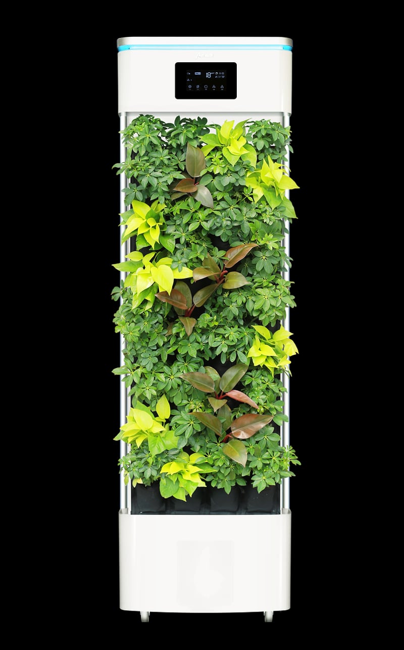 Air purifying plants